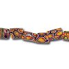 Strand of 20 inch Muli Colored Venetian Glass Ethnic Beads