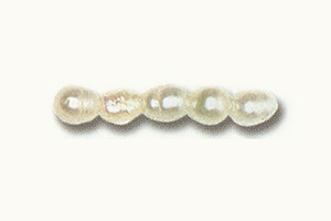 Small Oval Fresh Water Pearls, 16 inches