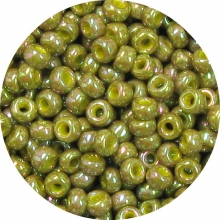 6/0 Opaque Iridescent Seed Beads