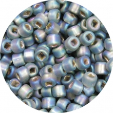 6-0 Frosted Silver Lined Seed Beads