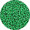 11-0 Two Tone Lined Kelly Green-White Japanese Seed Bead
