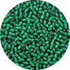 11-0 Two Tone Lined Dark Kelly Green-White Japanese Seed Bead