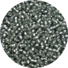 11/0 Frosted Silver Lined Black Diamond Gray Japanese Seed Bead F21