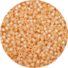 11/0 Gilt (Gold) Lined Waxy Light Peach Orange Japanese Seed Bead 580