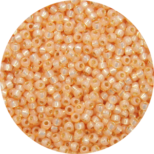 11/0 Gilt (Gold) Lined Waxy Light Peach Orange Japanese Seed Bead 580