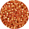 15/0 Frosted Silver Lined Dark Peach *Dyed Japanese Seed Bead F5A