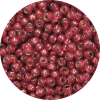 Japanese Seed Bead Gilt (Gold) Lined Waxy Rusty Red 581A