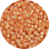 15/0 Japanese Seed Bead Gilt (Gold) Lined Waxy Burnt Orange 553