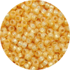 15/0 Japanese Seed Bead Gilt (Gold) Lined Waxy Light Orange  552