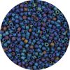 Japanese Seed Bead, Frosted Blue Iris