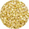8/0 Japanese Seed Bead, Frosted Silver Lined Light Topaz AB