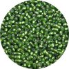 8/0 Japanese Seed Bead, Frosted Silver Lined Dark Olivine