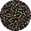 8/0 Japanese Seed Bead, Frosted Silver Lined Watermelon Green*