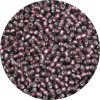 8/0 Japanese Seed Bead, Frosted Silver Lined Dark Amethyst
