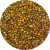 DB0501 - 11/0 Miyuki Delica Beads, 24k Gold Electroplated over Glass AB