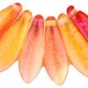 5x16mm Dagger Beads, Fuchsia and Lemon (coated)