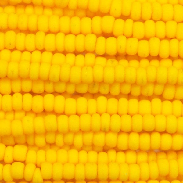 11/0 Frosted Opaque Yellow Czech Seed Beads
