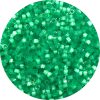 DB1813 - 11/0 Miyuki Delica Beads, Teal Satin*