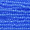 Waxy Seed Beads