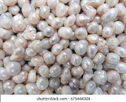 HAND KNOTTED FRESHWATER PEARLS