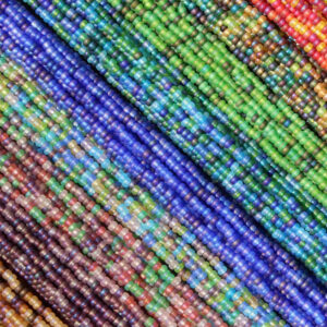 11/0 Czech Frosted Skittles Variety Pack Seed Beads