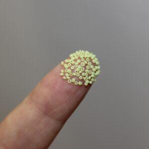 22/0 Vintage Micro Opaque Light Lime Green 5 grams