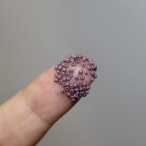 16/0 Vintage Micro Opaque Lavender 5 grams