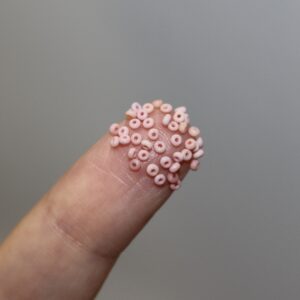 13/0 Vintage Micro Opaque Cheyenne Pink 5 grams