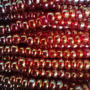 6/0 Czech Preciosa Glass Seed Bead Transparent Gold Luster Ruby AB